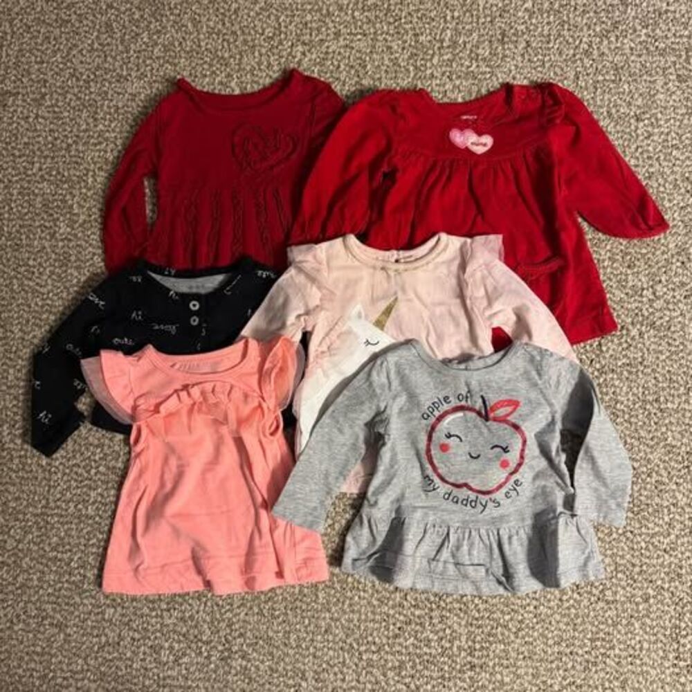 Baby Girl Top Dress Lot 6 Mixed Brands 6 Months Long Sleeve Fall